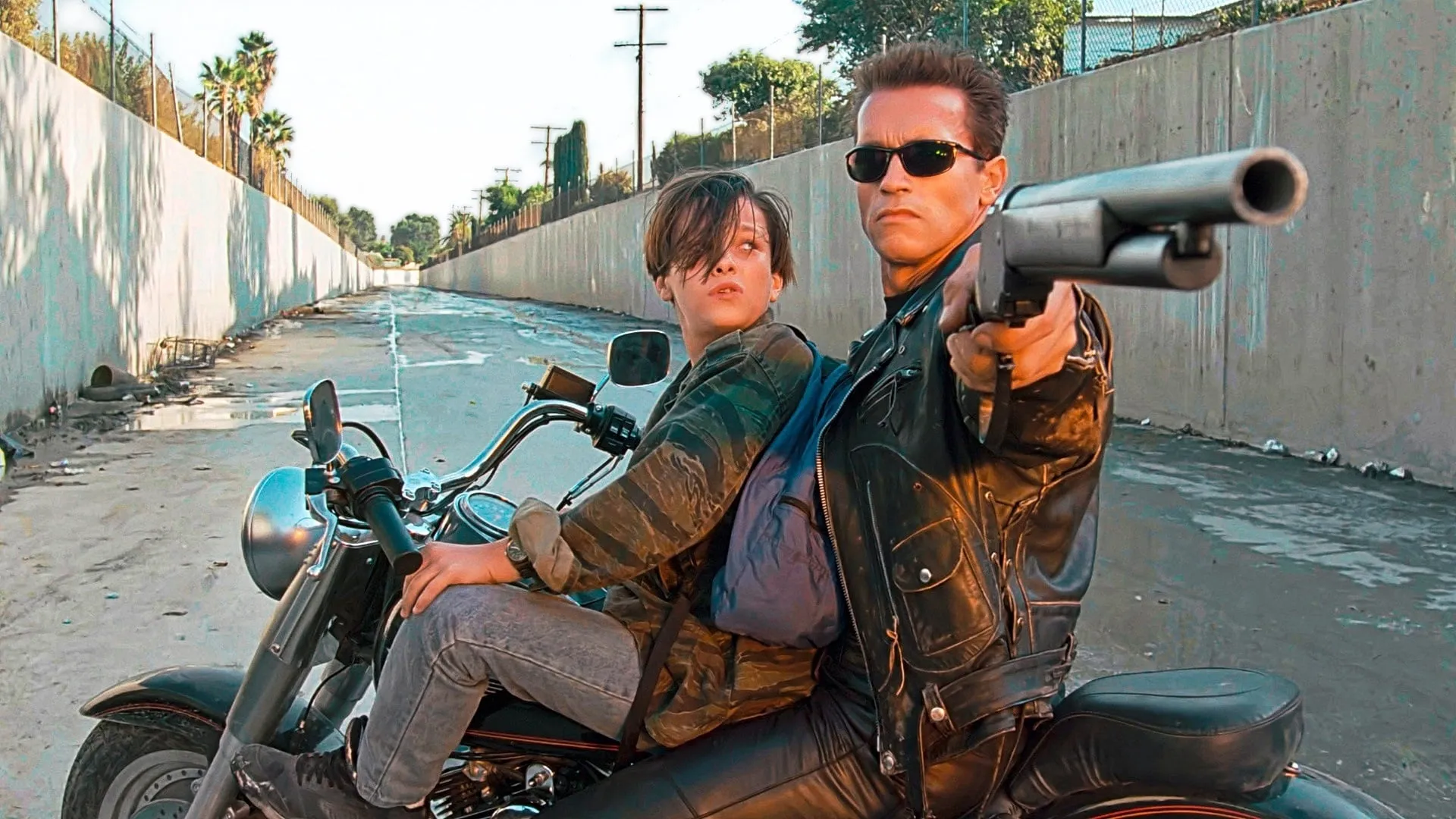 No One Decided to Delete Terminator 2